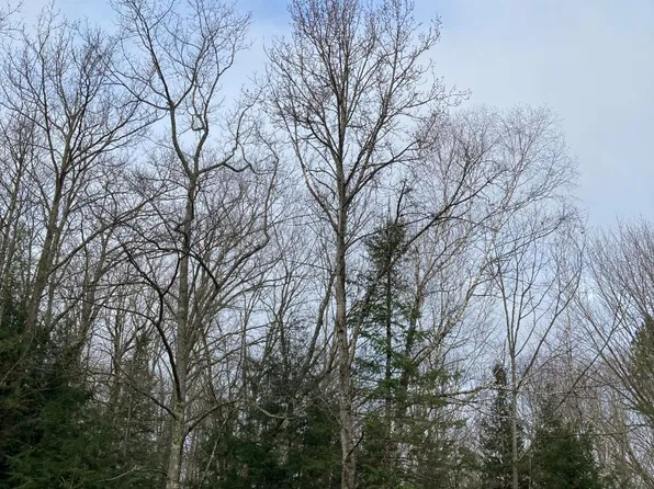 Near Star Lake Rd, Crandon, WI 54520