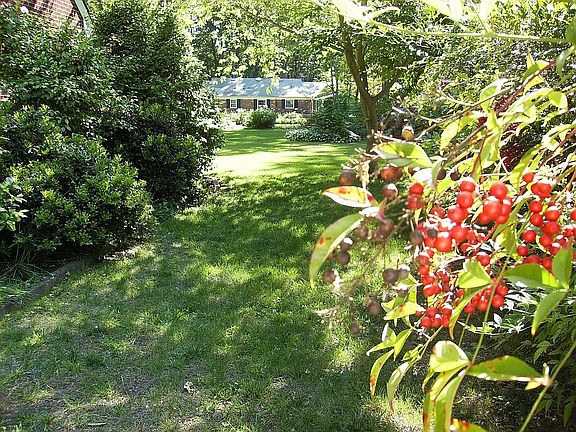 West Side Yard in May