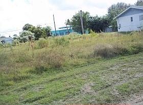 1st image of 2720 Wisteria Pl