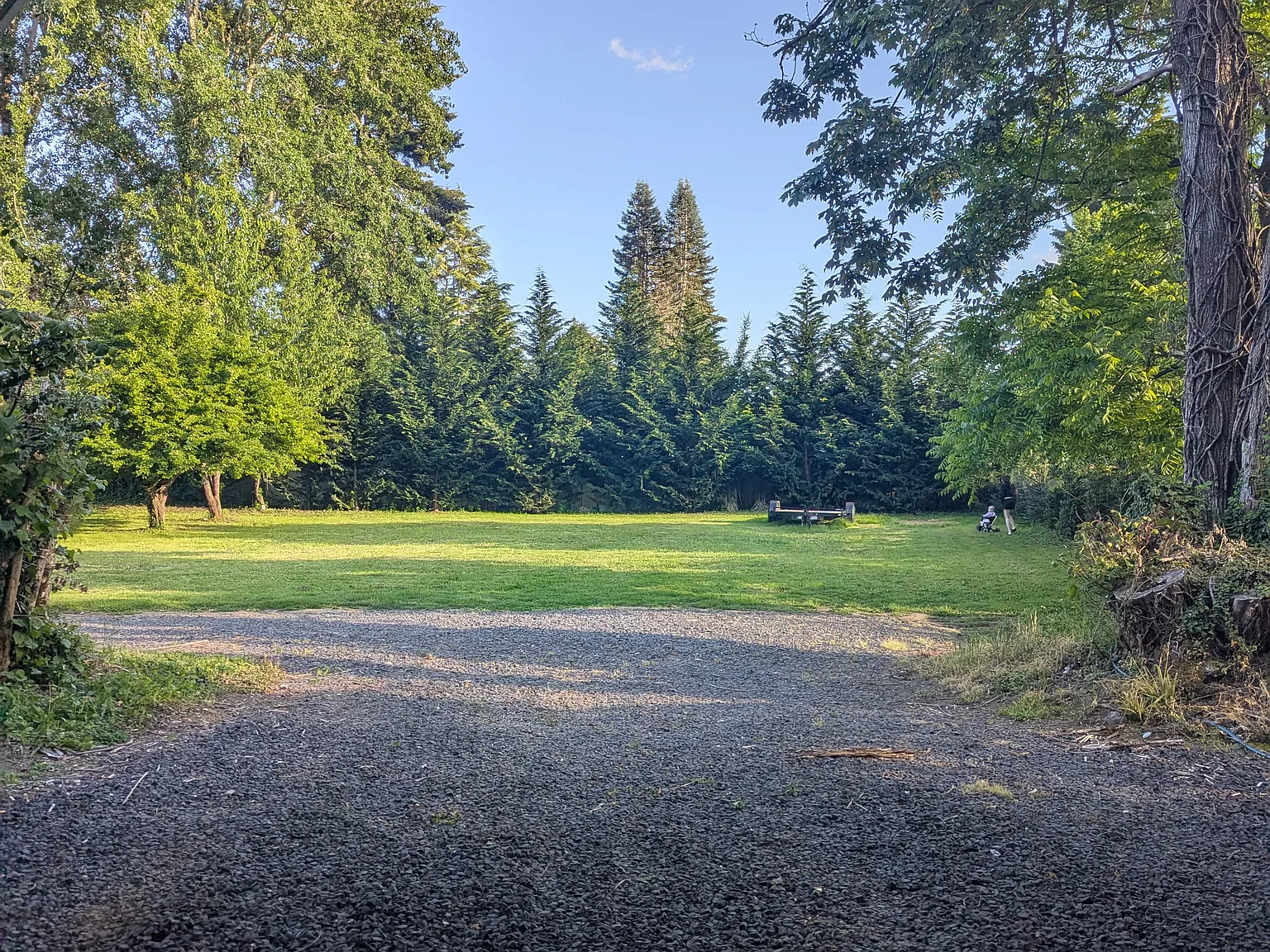 Karen Frazier Rd SE, Olympia — Photo 4