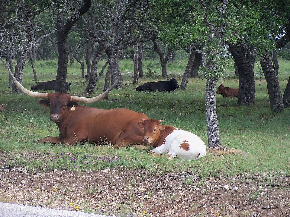 1st image of 809 Lipan Apache Trl Lot 30