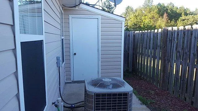 Back Area