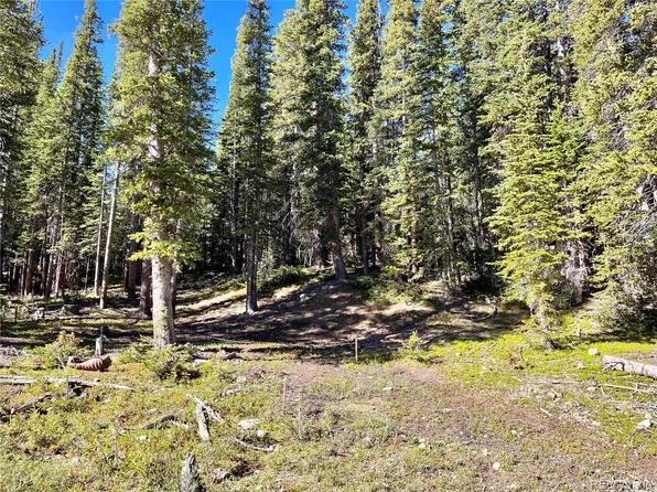 633 Prunes Pl LOT 819, Fairplay, CO 80440