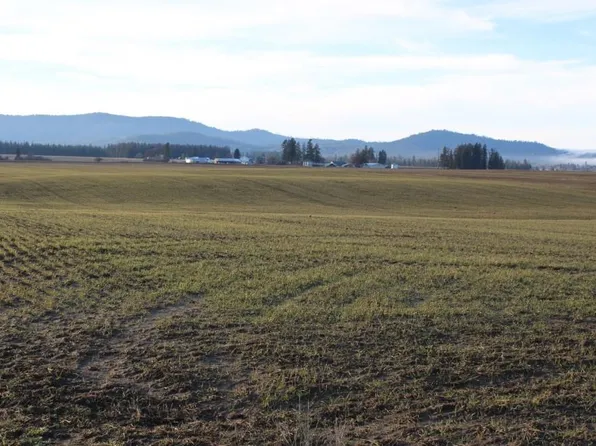 3450X N Spotted Rd, Deer Park, WA 99006