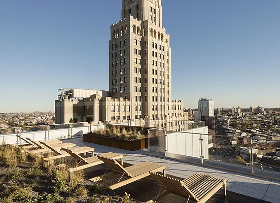 Rented by Two Trees | media 17