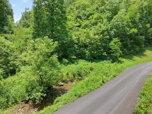 Tbd Heralds Valley Rd, Castlewood, VA 24224