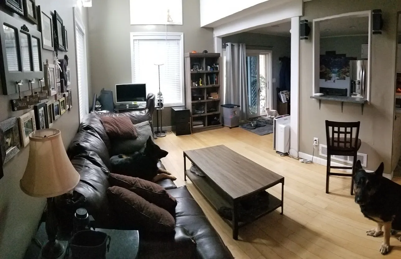 325 Mammoth Rd — Photo 4
