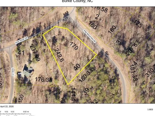 1034 Pine Mountain Dr, Connelly Springs, NC 28612