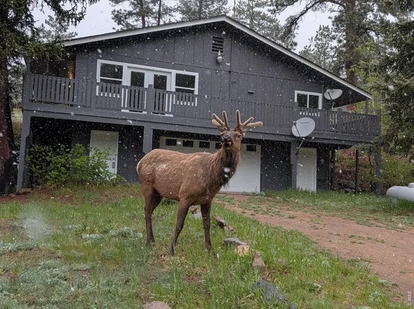 163 West Creek Rd, Glen Haven, CO 80532