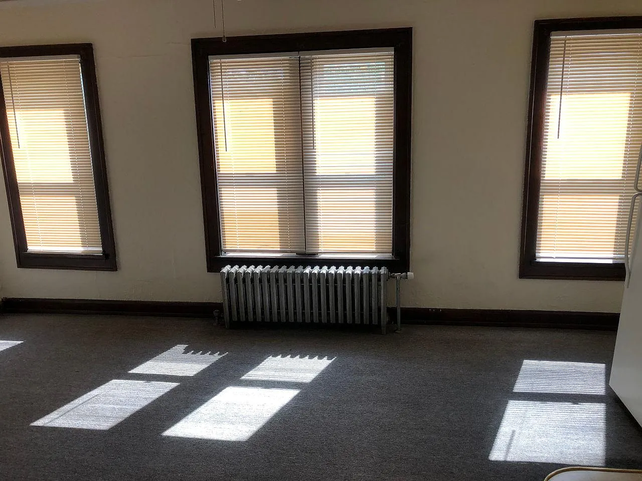 Studio, 225 sqft, $595 — Photo 2