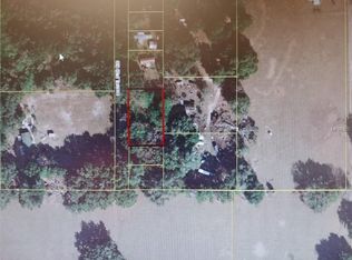 13471 SE 43rd Ter, Webster, FL 33597