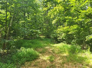 0 Mount Carmel Rd, Mosheim, TN 37818