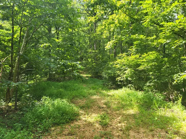 0 Mount Carmel Rd, Mosheim, TN 37818
