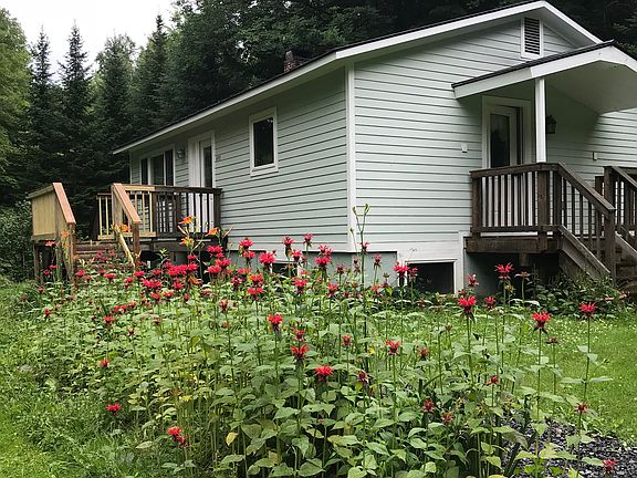 Perennial flower beds 