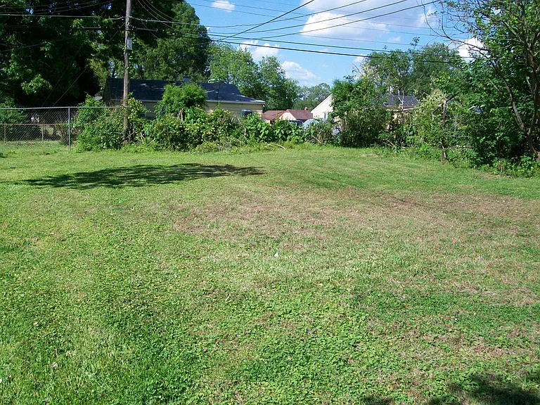Back yard