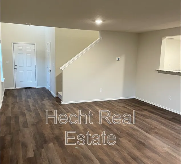 451 Forsythia — Photo 2
