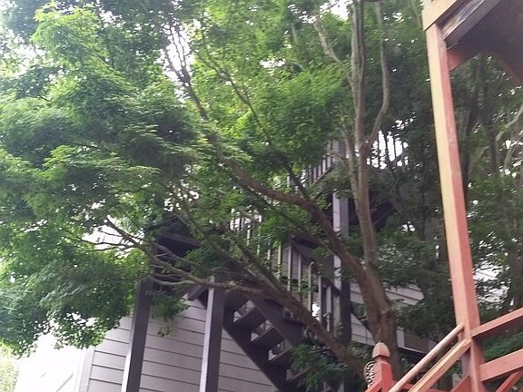 2nd image of 120 Baker St #2