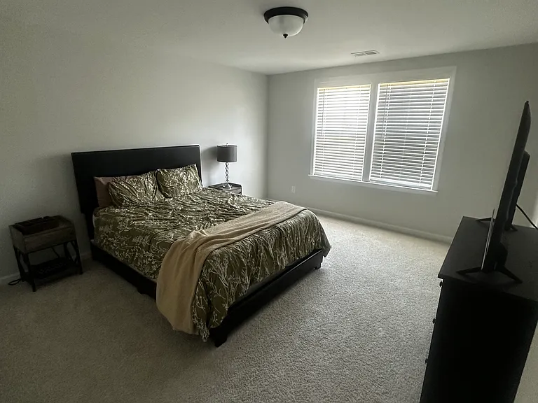Green Fern Dr — Photo 9