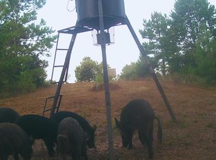 County Road 1634, Linden, TX 75563