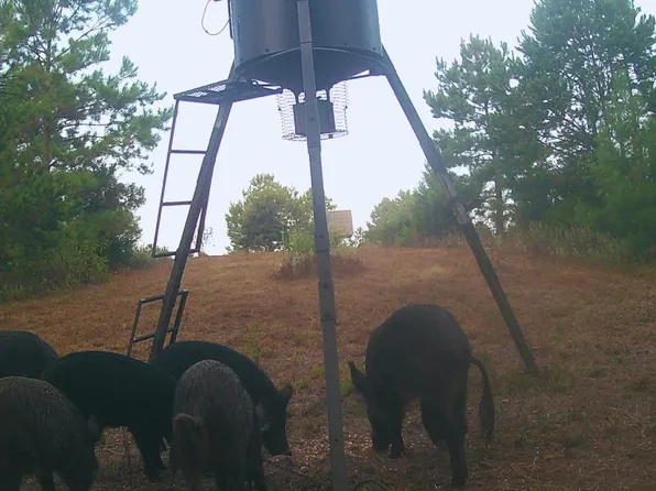County Road 1634, Linden, TX 75563