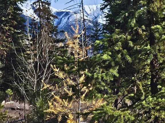 5th image of Nhn Hollopeter Rd