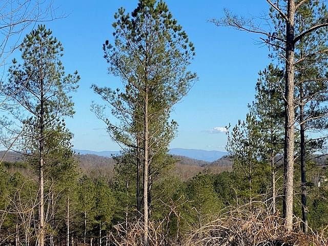 1st image of 0 County Road 351