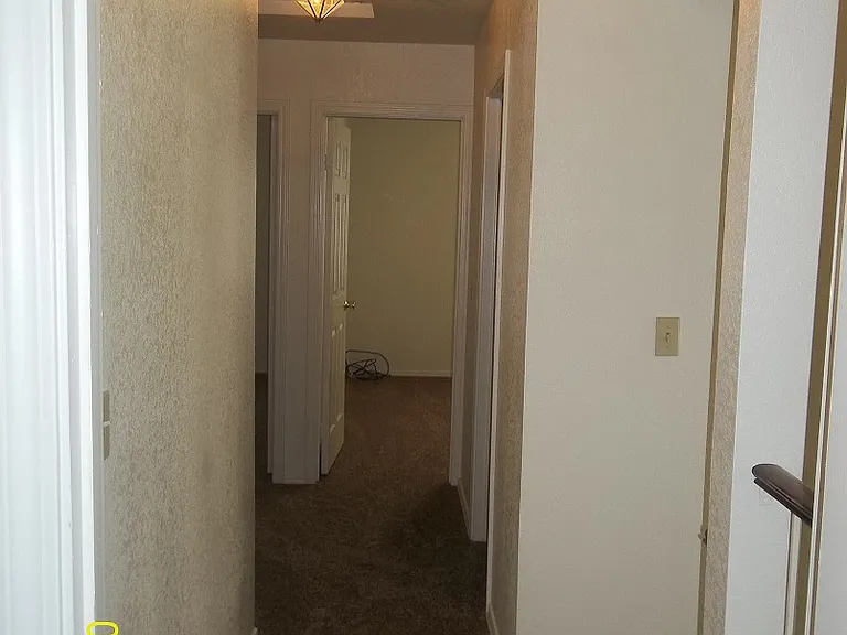 8124 Pinefield Dr — Photo 11