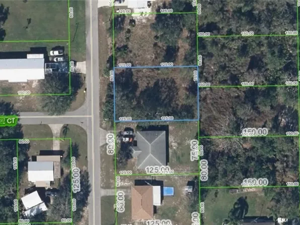 1645 Cedarbrook St, Lake Placid, FL 33852
