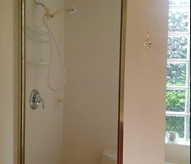 Master walk-in shower