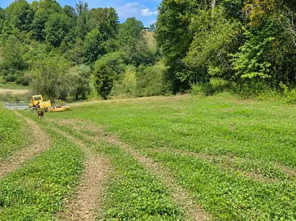 Baptist Valley Rd, Cedar Bluff, VA 24609