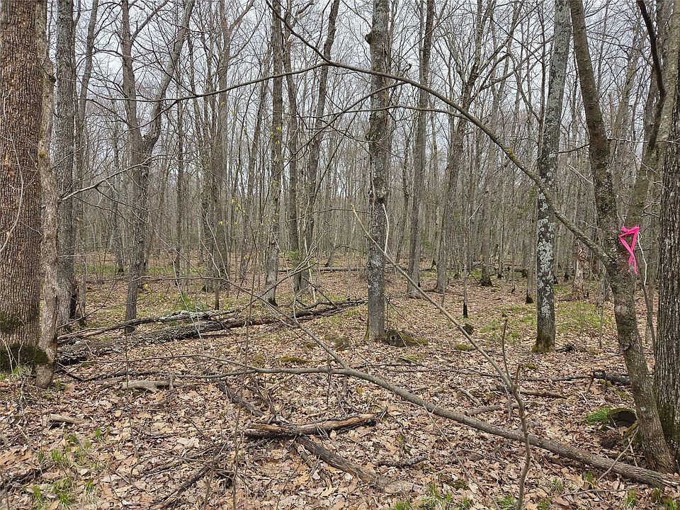 1st image of 12XXX N Olson Road