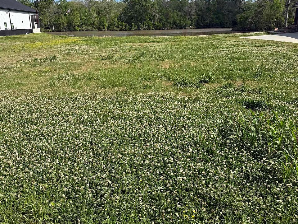2nd image of 26025 Highway 77
