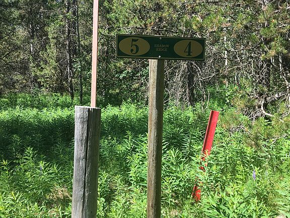 Lot 4 1.34 acre