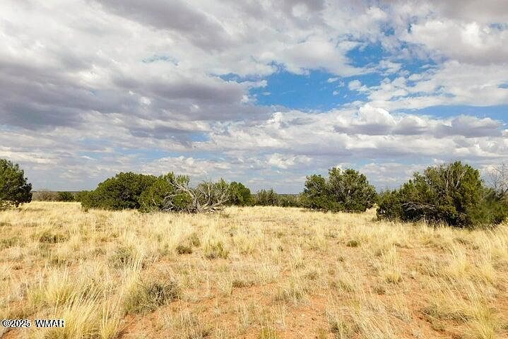 2nd image of LOT 438 Chevelon Canyon Dr