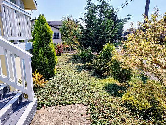 Low-maintenance front yard