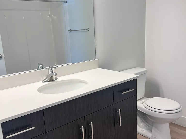 Hall bathroom