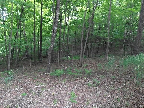 2nd image of 077.00 Hodges Bridge Rd