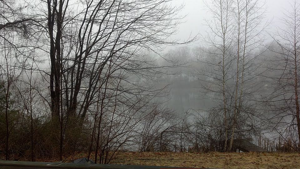 2nd image of 45 W Shore Trl