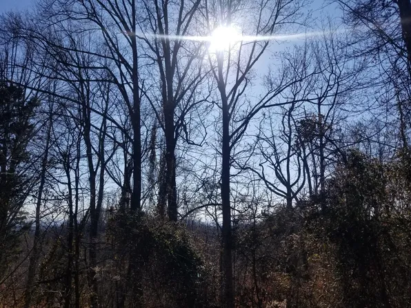 11 Walk In The Trees Dr Lot 11, New Market, TN 37820
