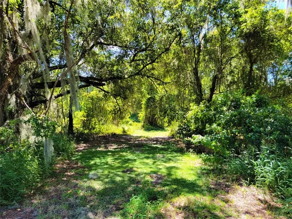 County Road 48 Parcel 10, Yalaha, FL 34797
