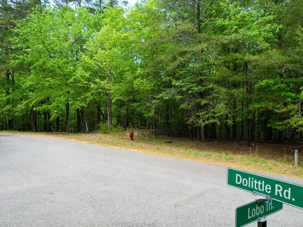 Dolittle Rd, Morganton, GA 30560