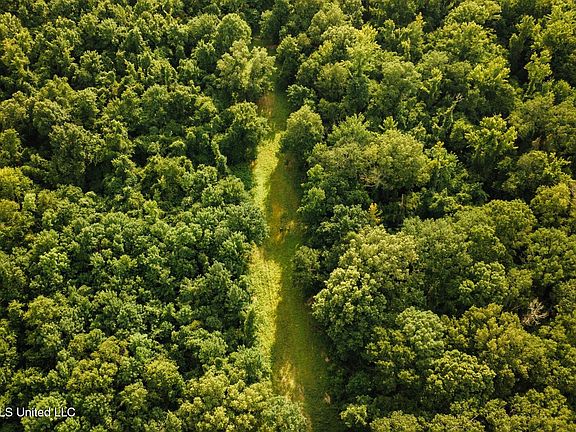 18th image of this home