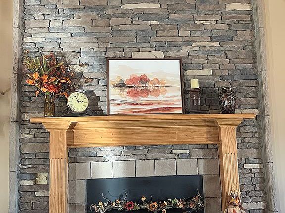 Wood burning fireplace