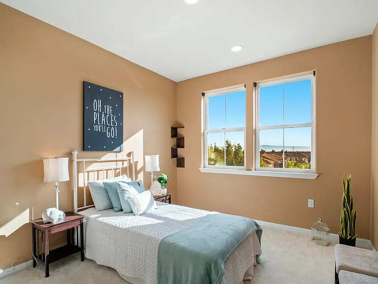 49002 Cinnamon Fern Cmn #402 — Photo 38