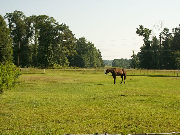 4th image of 1043 Highway 500