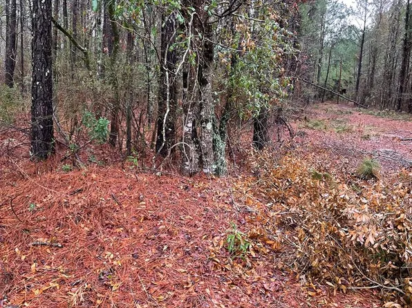 0 Archer Ave, Manning, SC 29102