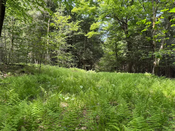 V/l 106 Rd Lot Wp001, Wellsville, NY 14895