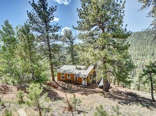226 Hall Rd, Bailey, CO 80421