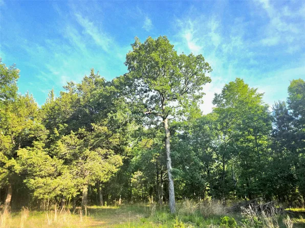 LOT 377 Timber Rdg, Larue, TX 75770
