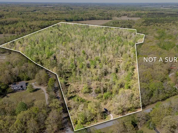 000 Barren Springs Road, Hollow Rock, TN 38342